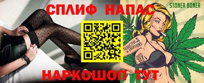 стафф Гай