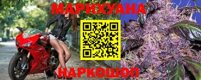 стафф Гай