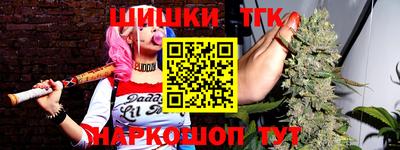 стафф Гай