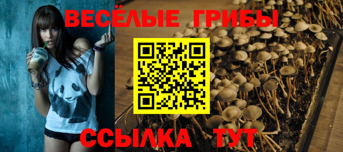 Галлюциногенные грибы Psilocybe  Вход с VPN  Дзержинск 